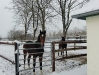 First Snow in Germany