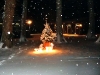 xmastree1