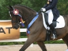 trot